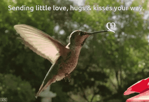Sending Little Love Heart GIF