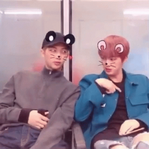 Seokjinseokjin Jinjin GIF