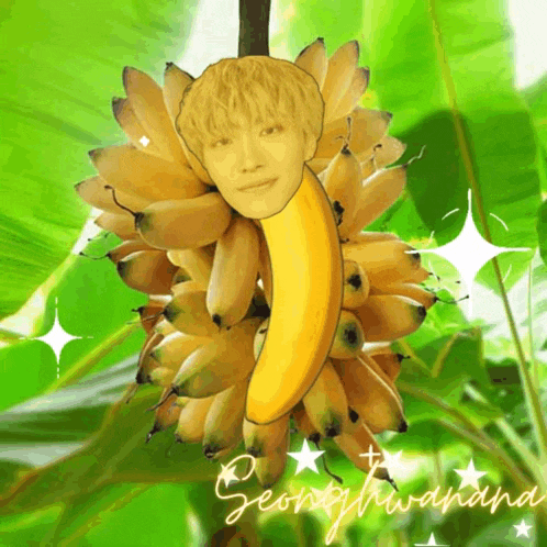Seonghwa Sh GIF