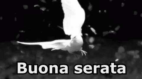 Serata Buona Serata Passa Una Bella Serata Saluti Ciao GIF