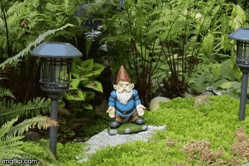 Seriously Come On GIF