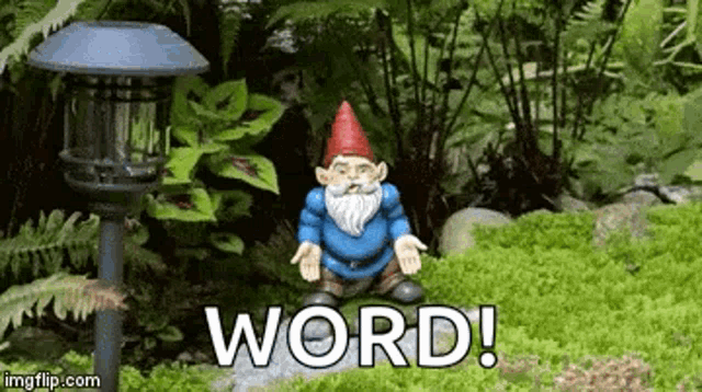 Seriously Come On GIF