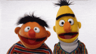 Sesame Street Bert And Ernie GIF
