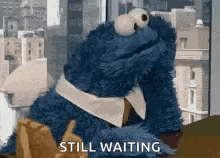 Sesame Street Cookie Monster GIF