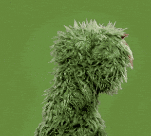Sesame Street Oscar The Grouch GIF