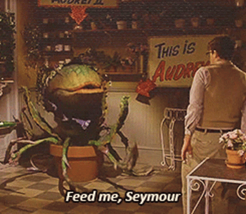 Seymour Feed Me GIF