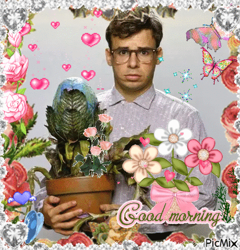 Seymour Krelborn Feed Me Seymour GIF