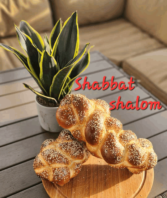 Shabbat Shalom Meme