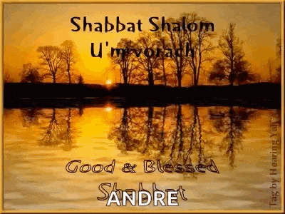 Shabbatshalom Goodandblessedshabbat GIF