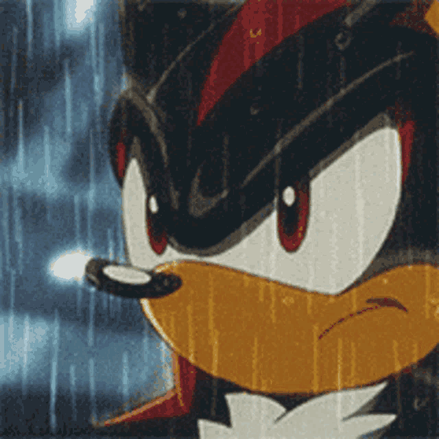 Shadow GIF