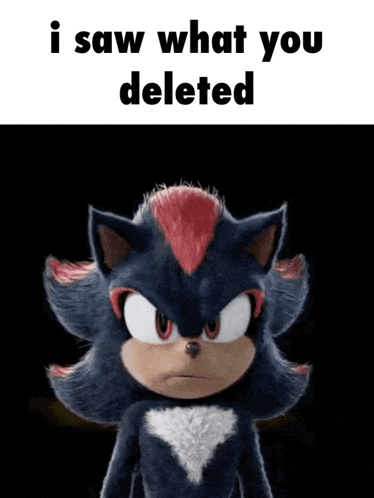 Shadow Shadow The Hedgehog GIF