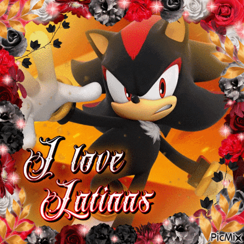 Shadow The Hedgehog Sonic The Hedgehog GIF