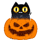 Shadowkitty Kitty Sticker