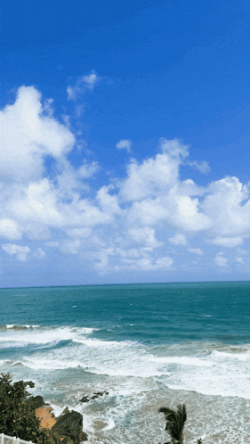 Shagarita Shalymar GIF