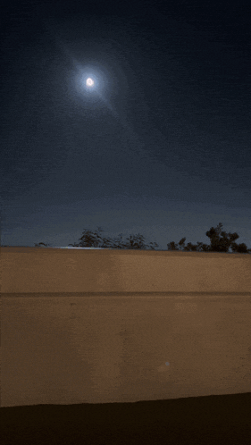 Shagarita Shalymar GIF