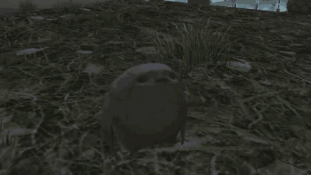Shaggles Final Fantasy GIF