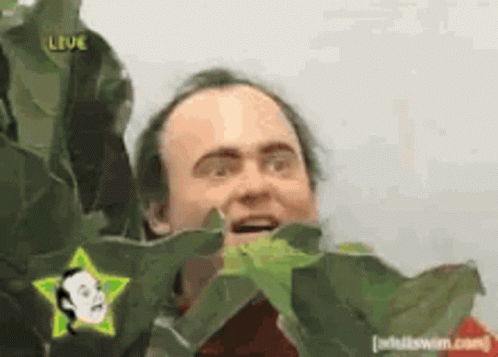 Shaheer Rehman GIF