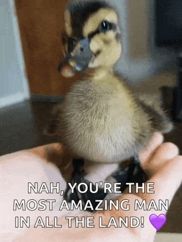 Shake Wiggle GIF