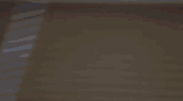 Shane Dawson Funny GIF