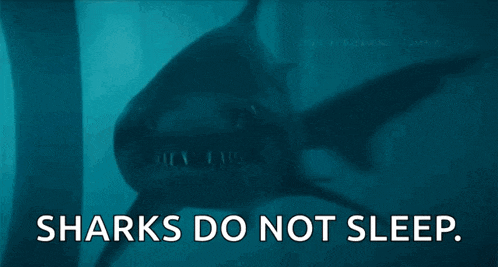 Shar Shark GIF
