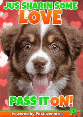 Share The Love Love Images GIF