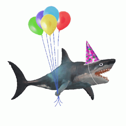 Shark Angela GIF