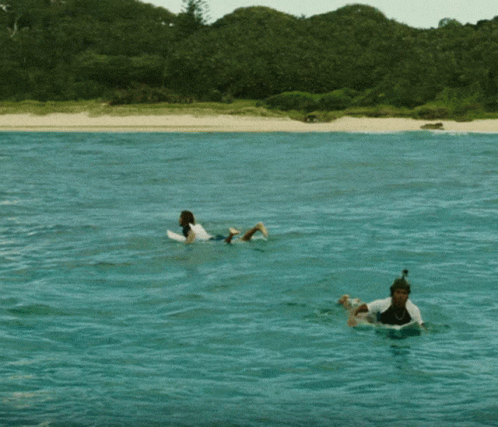 Shark Attack GIF