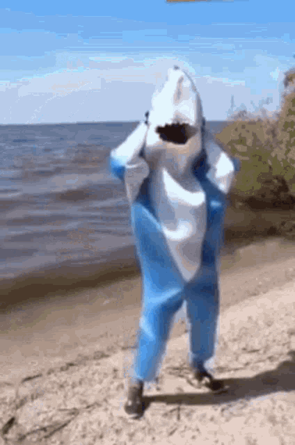 Shark Dance GIF