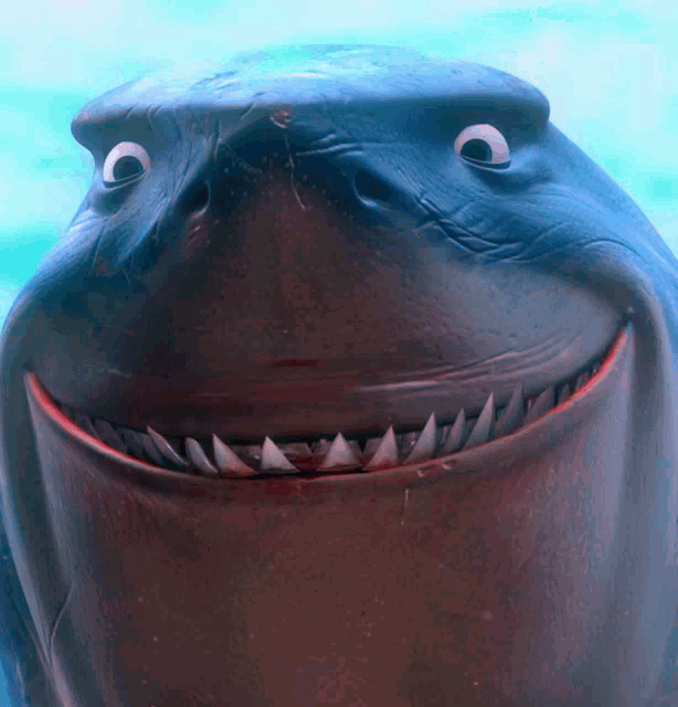 Shark Finding Nemo GIF