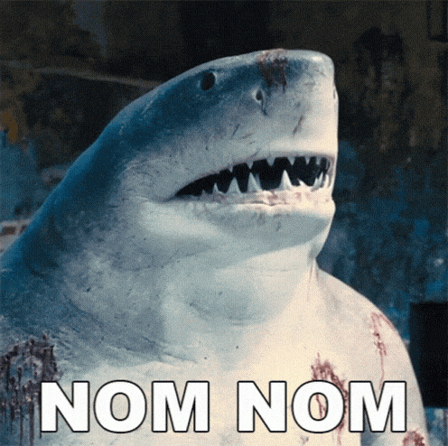 Shark Hungry GIF
