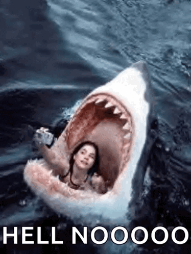 Shark Jaws GIF