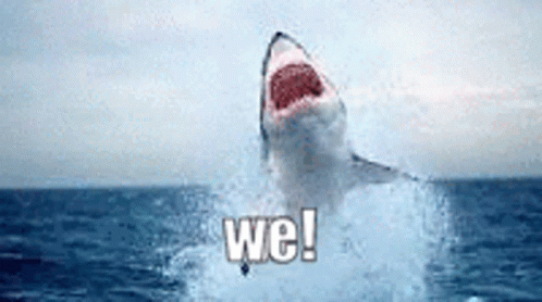 Shark Jump GIF