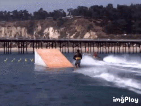 Shark Jump GIF