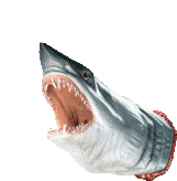 Shark Mouth Jaw Sticker
