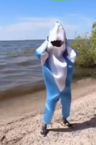 Shark GIF