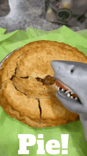 Shark Puppet Pie GIF