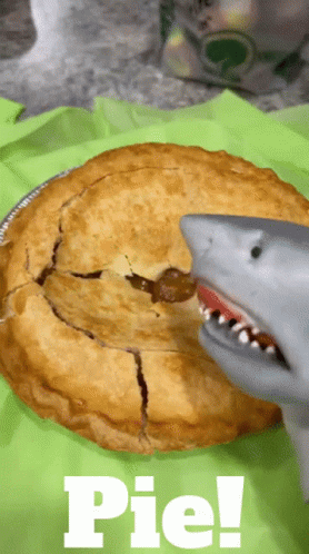 Shark Puppet Pie GIF