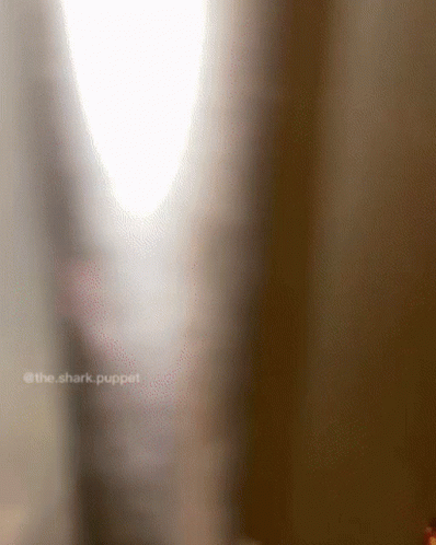 Shark Puppet Shark Week GIF