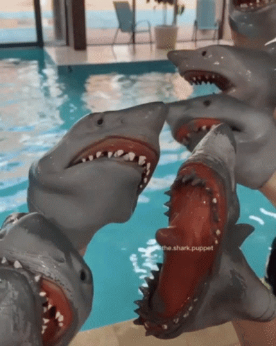 Shark Puppet Swimming GIF