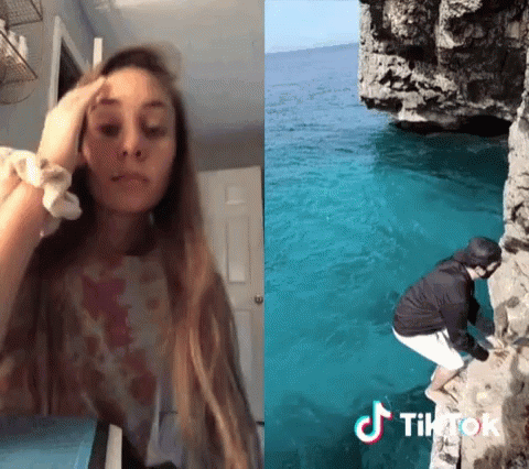 Shark Wow GIF