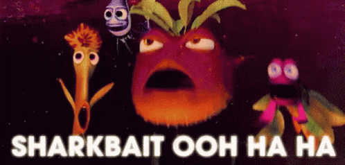 Sharkbait GIF