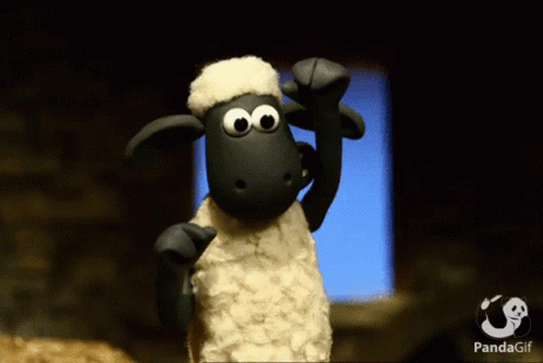 Shaun GIF
