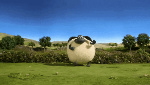 Shaun The Sheep Timmy GIF