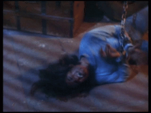 She Wolf Of London Randi Wallace GIF