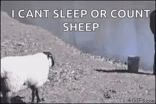 Sheep Push GIF