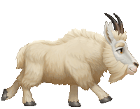 Sheep Run Sticker