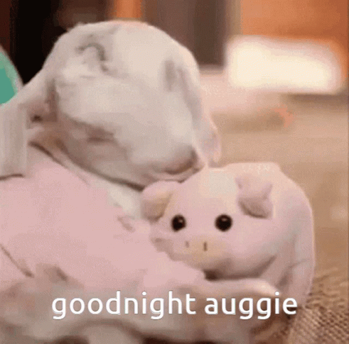 Sheep Sheepish GIF