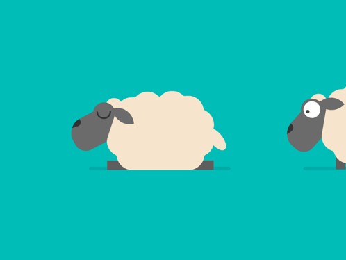 Sheep Sleeping GIF