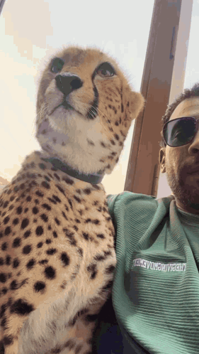 Sheikh With Cheetah Dubai Cheetah GIF