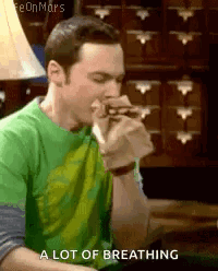 Sheldon Bbt GIF